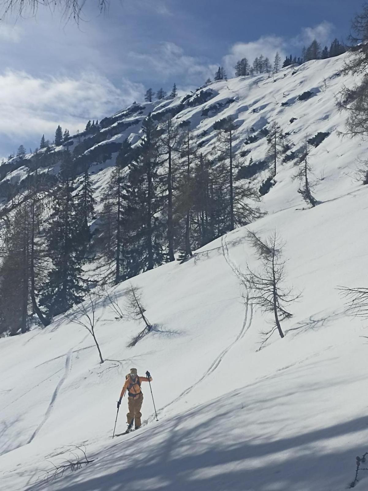 Ausseerland Apartments - Relax, Ski, Hike And Bike, Garden, Parking, Bbq, Near Hallstatt, Loser, Tauplitz And Krippenstein, Free Wi-Fi And Netflix Bad Aussee Exterior foto