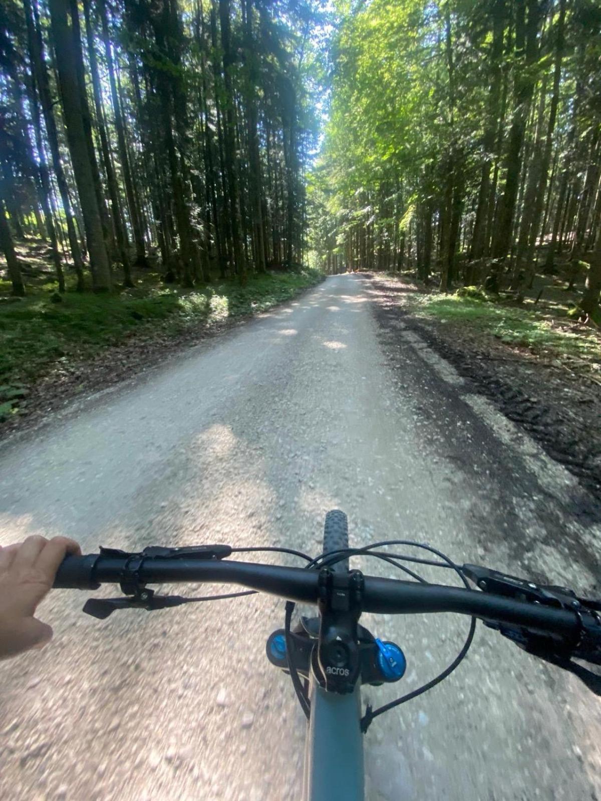 Ausseerland Apartments - Relax, Ski, Hike And Bike, Garden, Parking, Bbq, Near Hallstatt, Loser, Tauplitz And Krippenstein, Free Wi-Fi And Netflix Bad Aussee Exterior foto